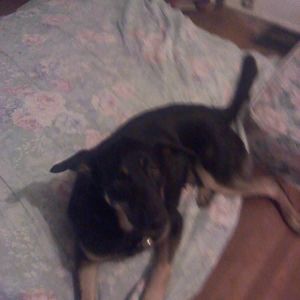 Meet your Posher, Matthew